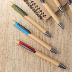 Bamboo Pen 21